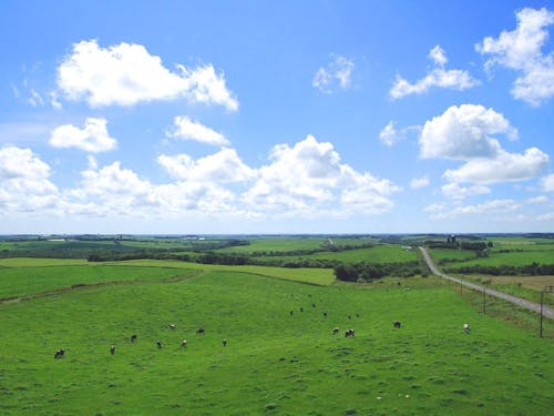 北海道スケールの大パノラマ。澄んだ空気が体中を満たす爽快感を味わえます。
