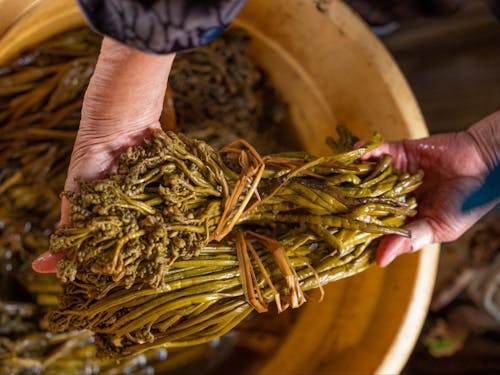 塩漬けされたわらび