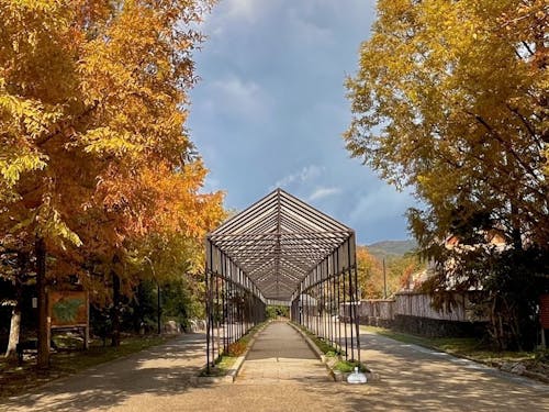四季おりおりの景色 〜秋編〜