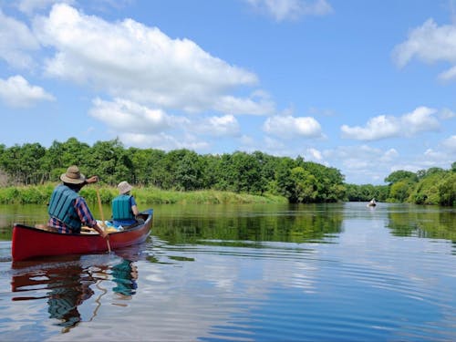 釧路湿原でカヌーもできます