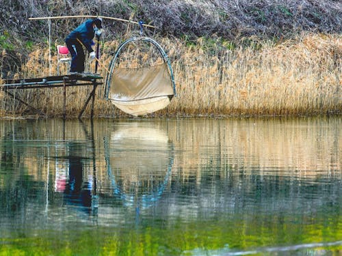 春先にはこの時期の風物詩「シロウオ漁」が始まる