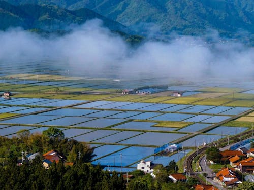 美しい田園風景が広がります