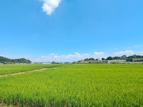 四季の変化や自然の循環を感じることができる地域です