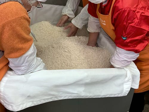 味噌づくり工程