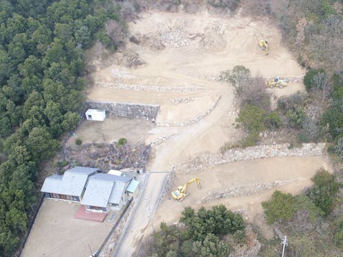 未開拓の森を1から整地して葡萄を植樹。2017年開墾時の様子です。