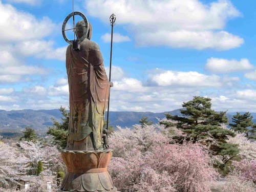 春、町内に咲き乱れる桜