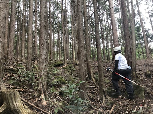 インターンの様子①