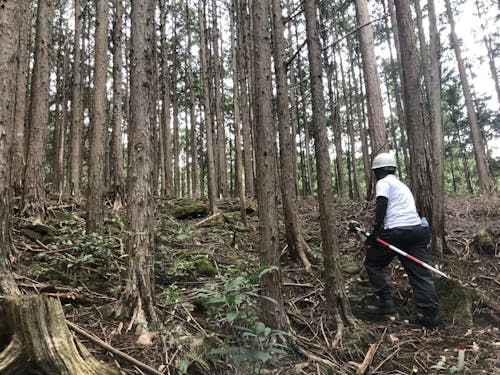 インターンの様子①