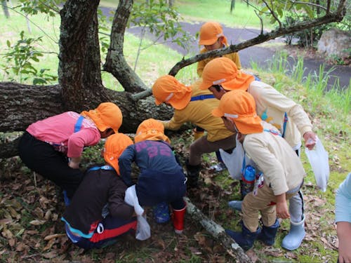 整備が行き届いた第二園庭や、近くの里山で自然遊び