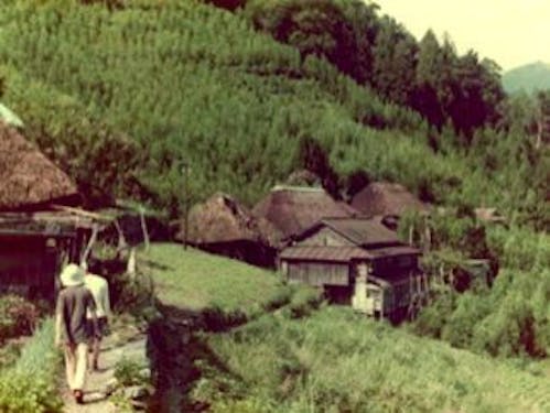 ちいおり着手初期の集落の様子。当時はまだ大半がかやぶき屋根でした。