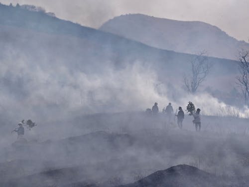 俵山、一ノ峰、二ノ峰等の原野の火入れ(山焼き)が伝統です