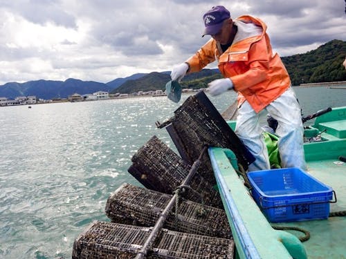 安戸池（あどいけ）にてハマチや牡蠣の養殖に取り組んでいます