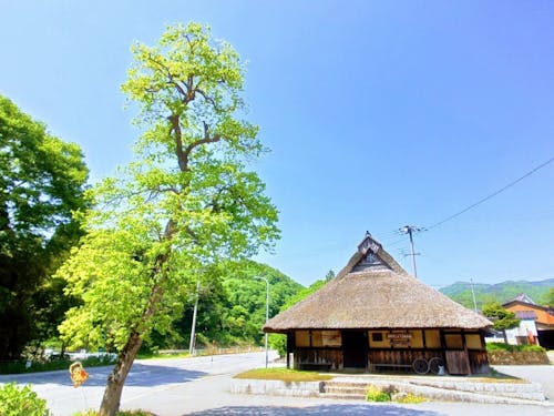 東草野地域の風景