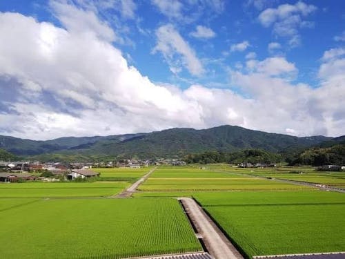 財田の田園風景