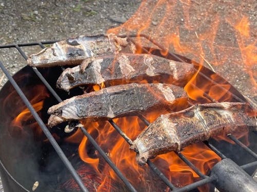 カツオは藁で焼くがやき!