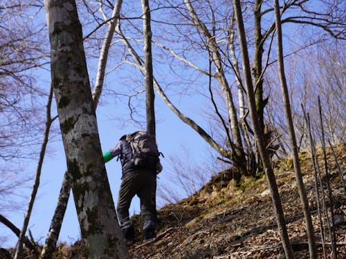 ①自然が豊かだが様々な環境変化や一部の崩壊も起こっている霧立山地内の登山道