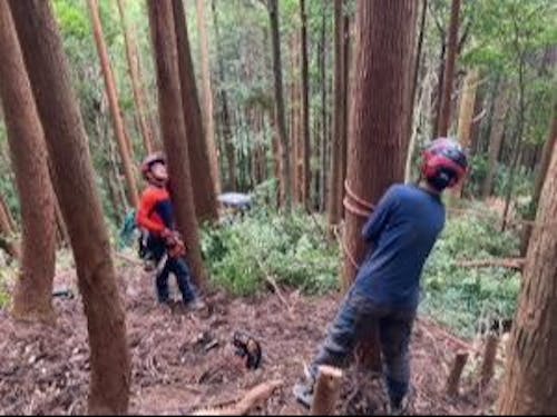 【長門市】林業の地域おこし協力隊が活動中!