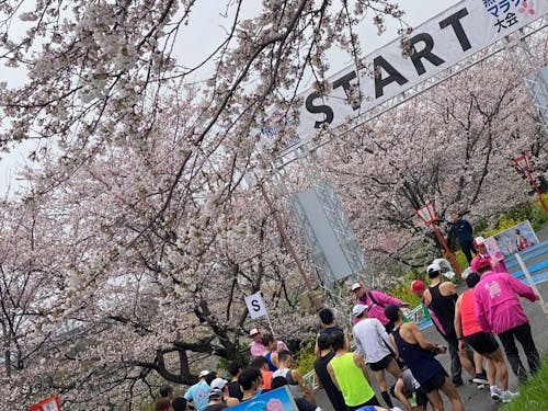 昨年の様子(スタート地点)