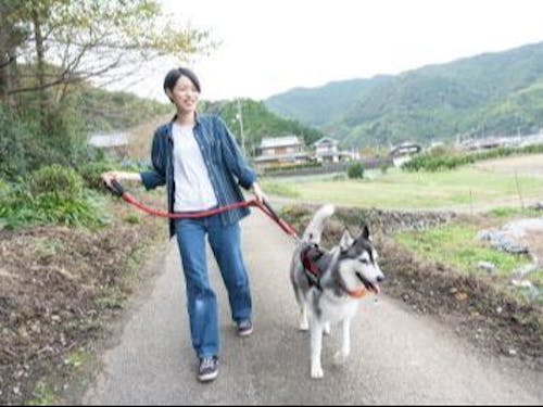 是非一度加茂谷を訪れてみてください