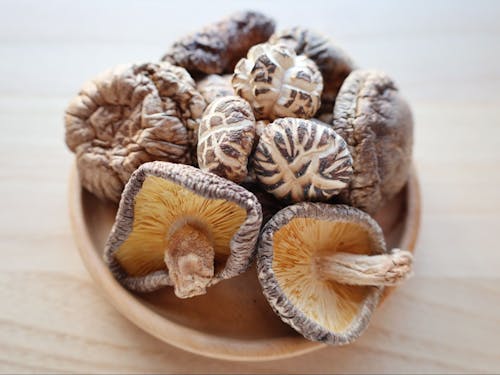 原木乾しいたけ