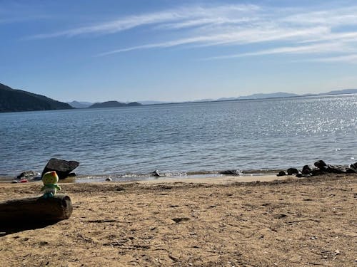 ビーチもあります