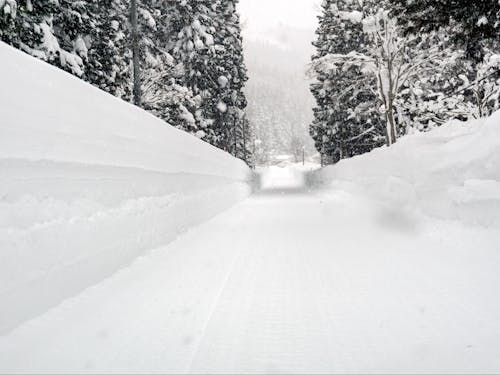 夏の清涼な景色から銀世界へ。様々な表情を見せてくれます。