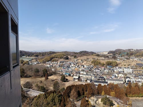 高岡よりも自然が多く感じられる、晴れた西東京・八王子市南大沢の冬の一枚