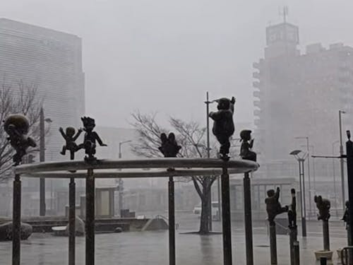 人生で初めて経験した吹雪も、今となっては貴重な体験でした