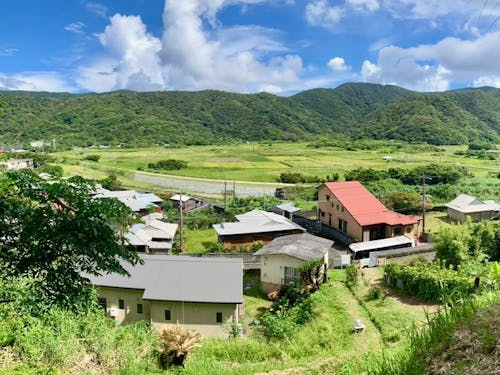 秋名地区には奄美群島最大級の田園が広がります