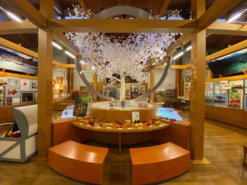 アップルミュージアム内のモニュメント