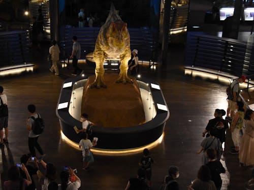 全国的にも有名な福井県立恐竜博物館は勝山市にあります