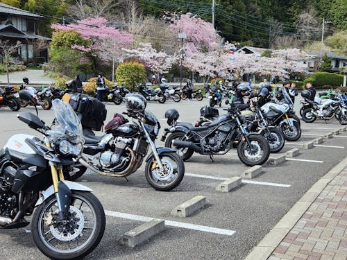 バイカーの聖地として人気の「道の駅 どうし」