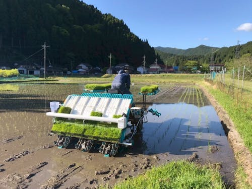 重機を操作しての田植え