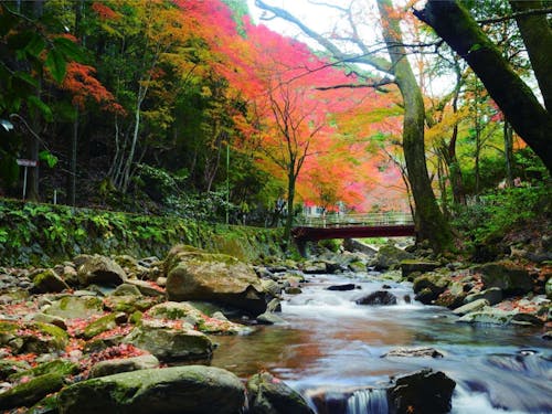 くらがり渓谷(岡崎市額田地区)