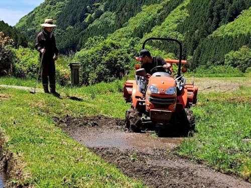 地元の方に田んぼの「代かき」を教わっている様子