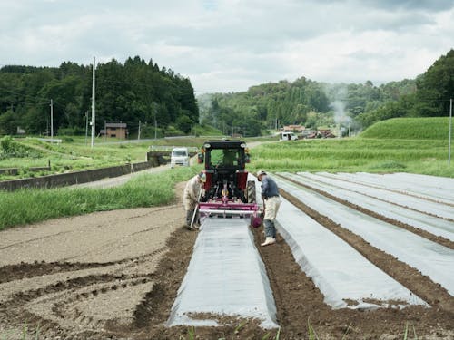 弥栄町は有機農業がなりわいでもあり、風景でもあります