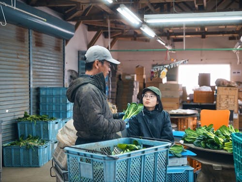 現場では経験豊富な先輩がサポートします