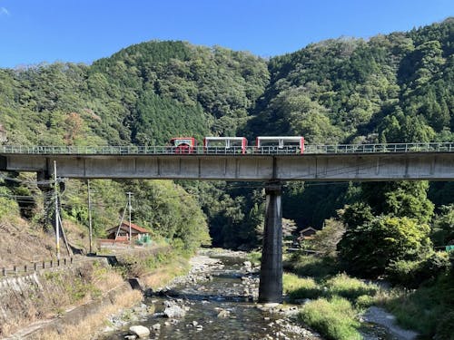 とことこトレイン