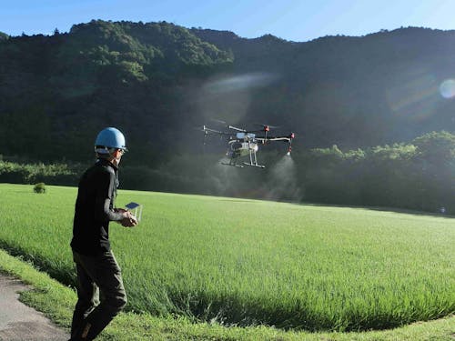 作業の省力化も進めています