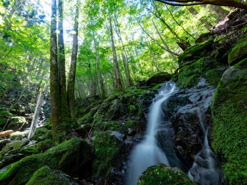 四万十川源流点