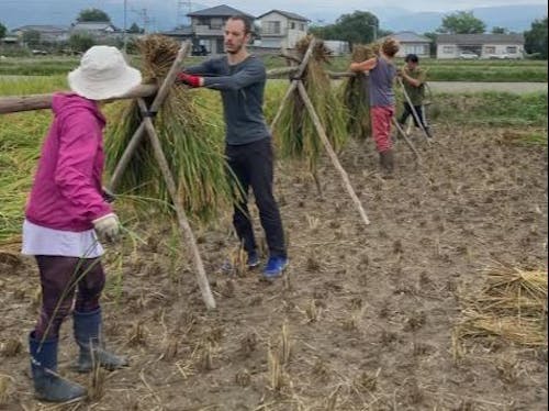 移住者の国際カップル。ちょくちょくお手伝いに来てくれます。