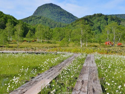 志賀高原・田ノ原湿原