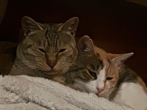 いつしか別海町が第二のふるさとに。全力で生きると同時に、帰れる場所の存在は大切。