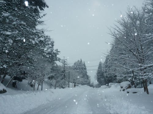 厳しい季節もまた、生活の知恵が身につく良い機会