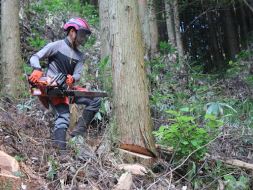 上田さんのお仕事の様子