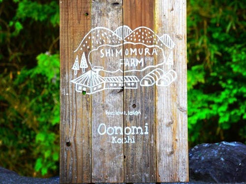 受入先の下村農園さん