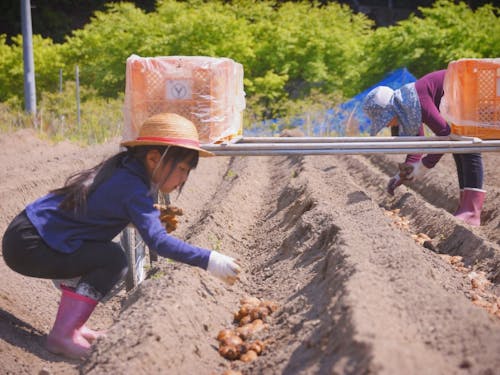 家族で農作業を楽しむ生活