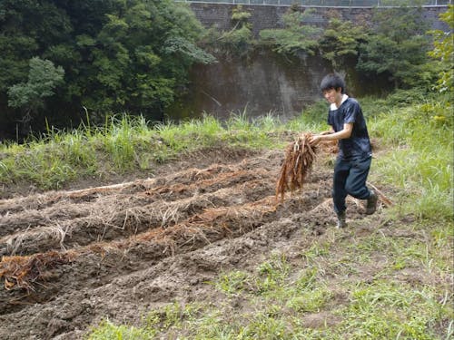 畑仕事にチャレンジする石元隊員