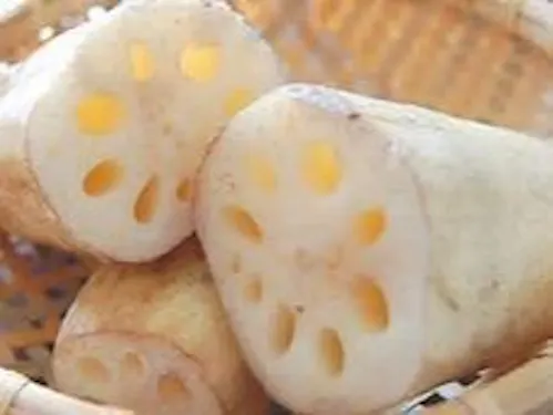 琵琶湖からすま蓮根