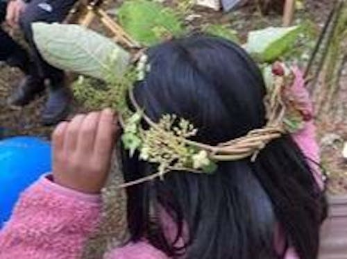 かんむりだって🌳